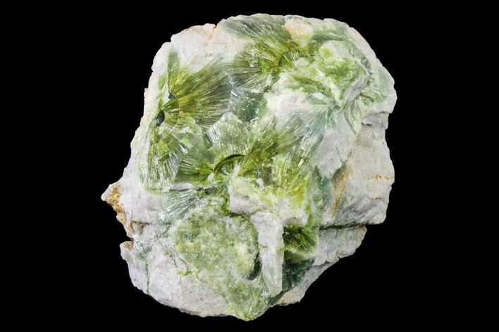 Radiating, Green Wavellite Crystal Aggregation - Arkansas #163057